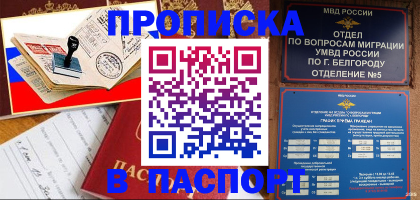 купить прописку в Колпашево